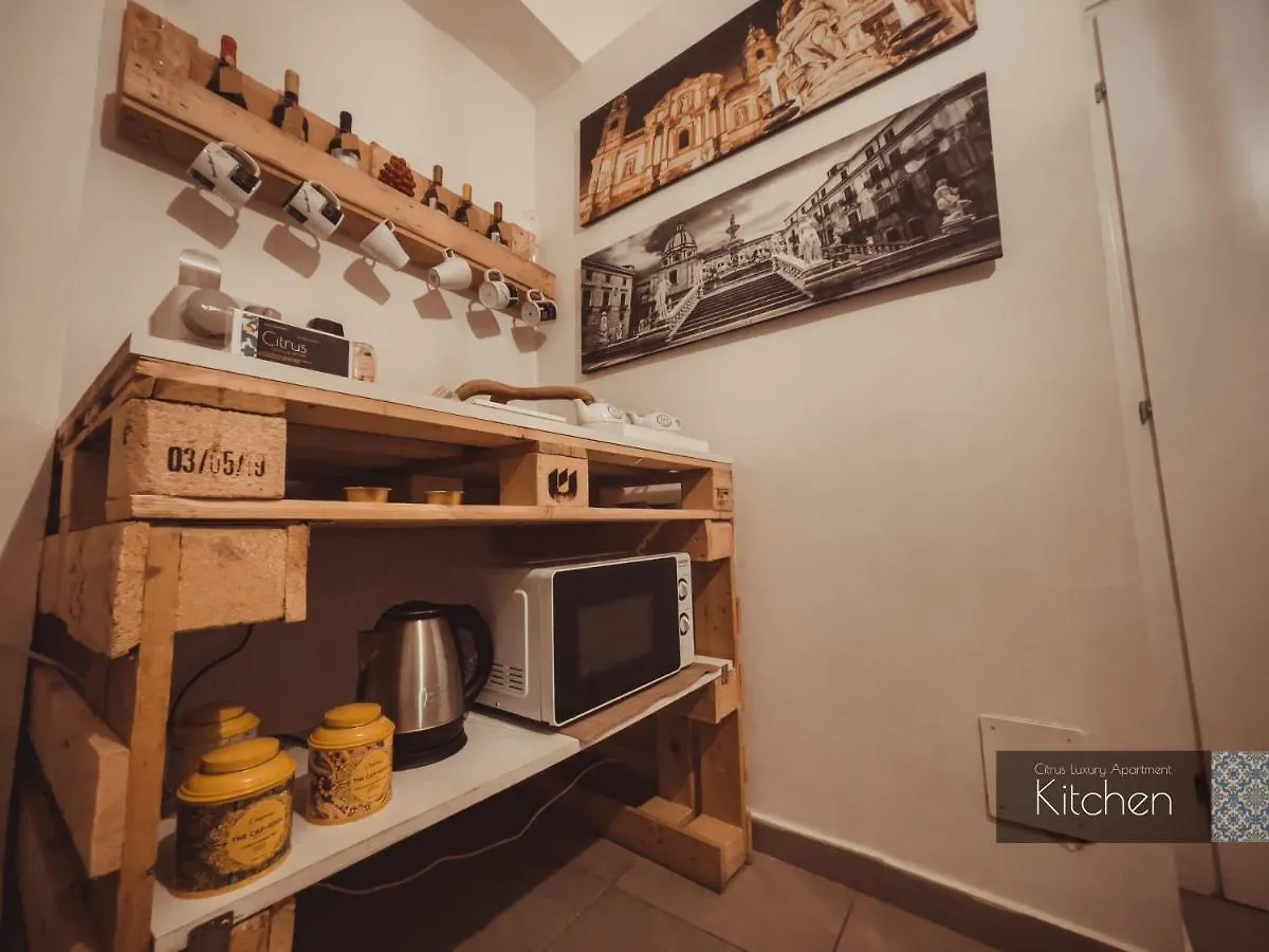 Citrus Luxury Apartment - Holiday Apartment With Up To 3 Bedrooms In Palermo Center Italie