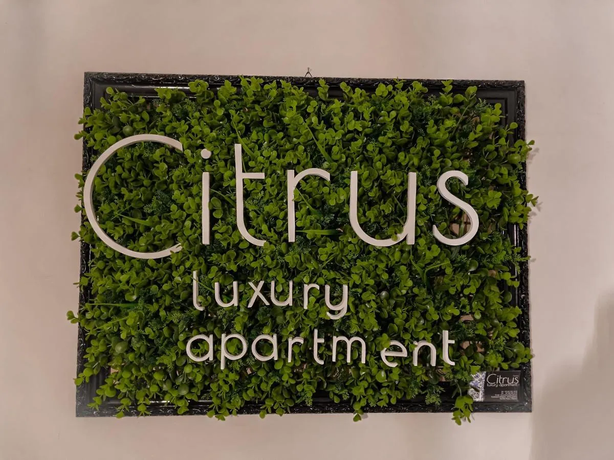 Citrus Luxury Apartment - Holiday Apartment With Up To 3 Bedrooms In Palermo Center Hébergement de vacances